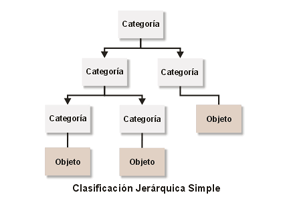 clasificación jerárquica simple